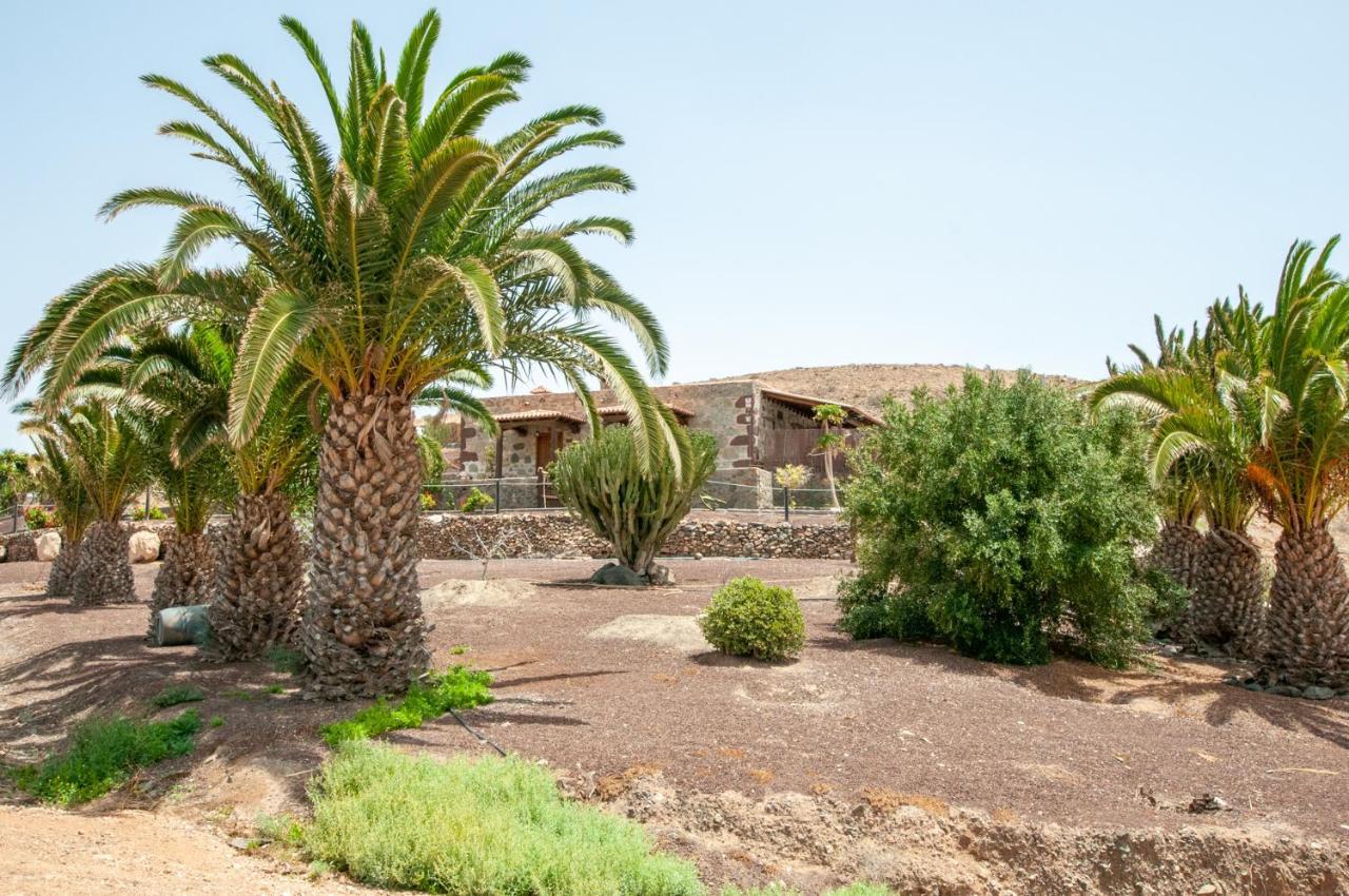 La Bella Tuineje Villa Eksteriør billede